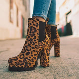 Leopard
